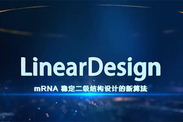 暢談mRNA技術(shù)全流程4： 為什么梁山的一百單八將要排座次？ 談?wù)刴RNA序列優(yōu)化