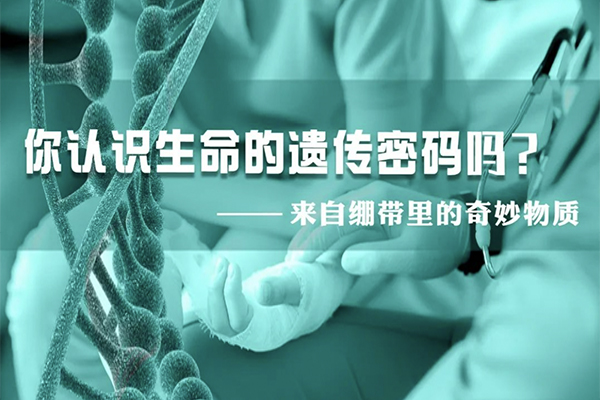 科普?qǐng)@地|來(lái)自繃帶里的奇妙物質(zhì)，你認(rèn)識(shí)生命的遺傳密碼嗎？