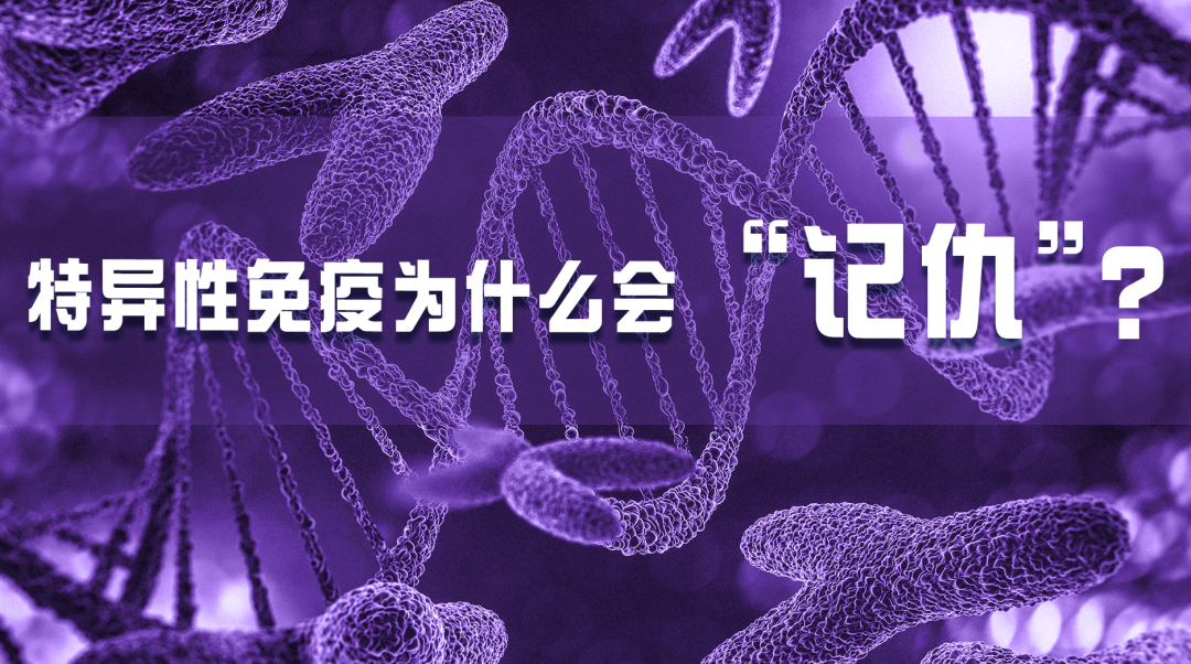 科普園地|特異性免疫為什么會“記仇”？