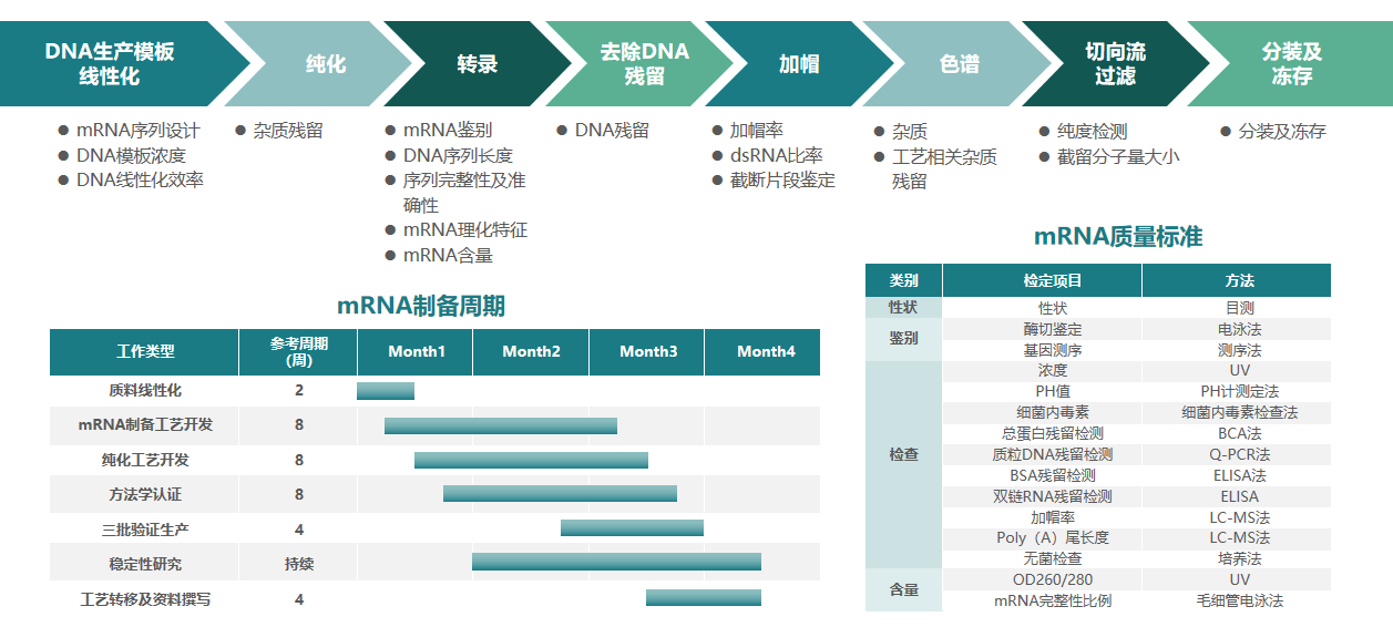 mRNA CDMO服務(wù)概述