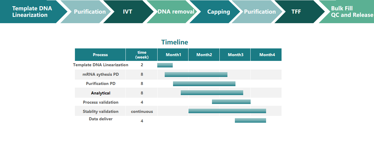 mRNA CDMO
